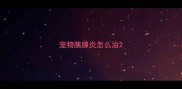 宠物胰腺炎怎么治