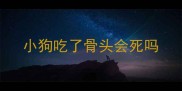 小狗吃了骨头会死吗
