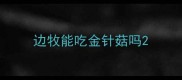 边牧能吃金针菇吗