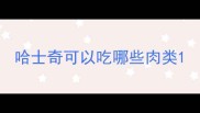 哈士奇可以吃哪些肉类