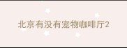 北京有没有宠物咖啡厅