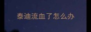 泰迪流血了怎么办