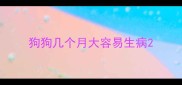 狗狗几个月大容易生病