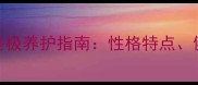 金毛拉布拉多混血犬终极养护指南性格特点健康隐患与训练技巧全