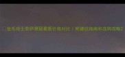 金毛哈士奇萨摩耶最新价格对比附避坑指南和选购攻略