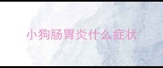 小狗肠胃炎什么症状