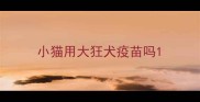 小猫用大狂犬疫苗吗