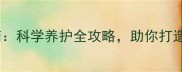 幼犬拉布拉多饲养指南科学养护全攻略助你打造健康快乐的家庭伙伴