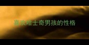 喜欢哈士奇男孩的性格