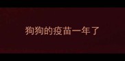 狗狗的疫苗一年了