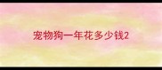 宠物狗一年花多少钱