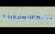 狗狗定点如厕有效方法