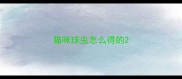 猫咪球虫怎么得的