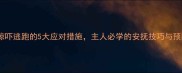 狗狗受惊吓逃跑的5大应对措施主人必学的安抚技巧与预防方法