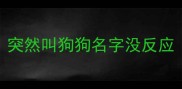 突然叫狗狗名字没反应