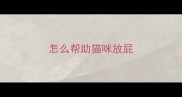 怎么帮助猫咪放屁