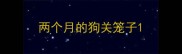 两个月的狗关笼子