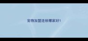 宠物加盟连锁哪家好