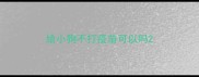 给小狗不打疫苗可以吗