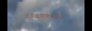 北京宠物食品加工