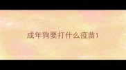 成年狗要打什么疫苗