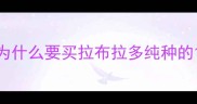 为什么要买拉布拉多纯种的