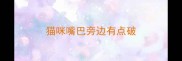 猫咪嘴巴旁边有点破