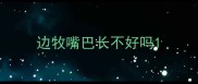 边牧嘴巴长不好吗