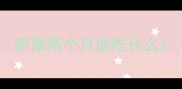 萨摩两个月能吃什么