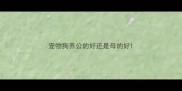 宠物狗养公的好还是母的好