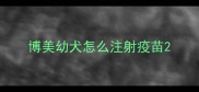 博美幼犬怎么注射疫苗