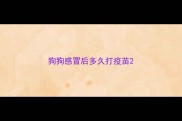 狗狗感冒后多久打疫苗