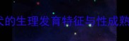 松狮犬的生理发育特征与性成熟时间