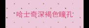 哈士奇深褐色瞳孔