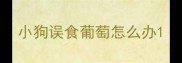 小狗误食葡萄怎么办