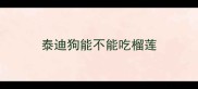 泰迪狗能不能吃榴莲