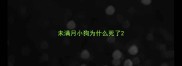 未满月小狗为什么死了