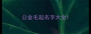 公金毛起名字大全