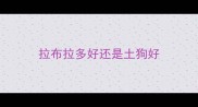拉布拉多好还是土狗好