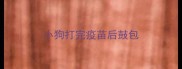 小狗打完疫苗后鼓包