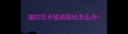 猫打狂犬疫苗呕吐怎么办