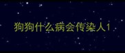 狗狗什么病会传染人