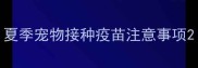 夏季宠物接种疫苗注意事项