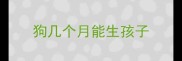 狗几个月能生孩子