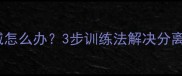 幼犬笼内持续叫喊怎么办3步训练法解决分离焦虑的完整指南