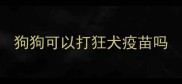 狗狗可以打狂犬疫苗吗