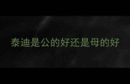 泰迪是公的好还是母的好