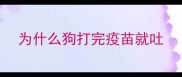 为什么狗打完疫苗就吐