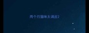 两个月猫咪太调皮