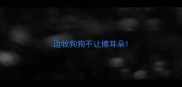 边牧狗狗不让擦耳朵